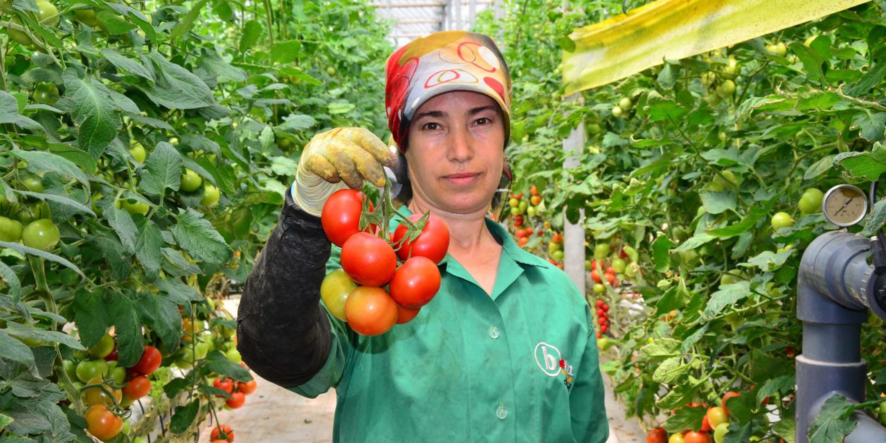 Uluslararası Tarım Sektörü Gündemi