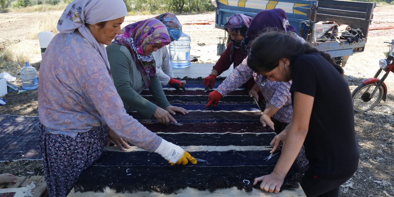 ANTALYA’DA TARLALAR HALI AÇTI