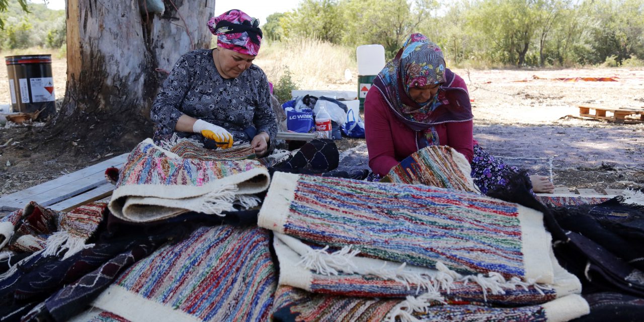 ANTALYA’DA TARLALAR HALI AÇTI