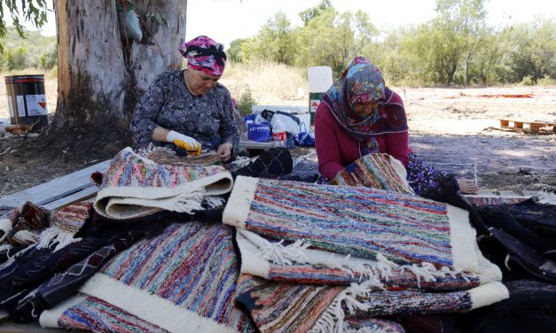 ANTALYA’DA TARLALAR HALI AÇTI