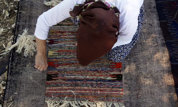 ANTALYA’DA TARLALAR HALI AÇTI