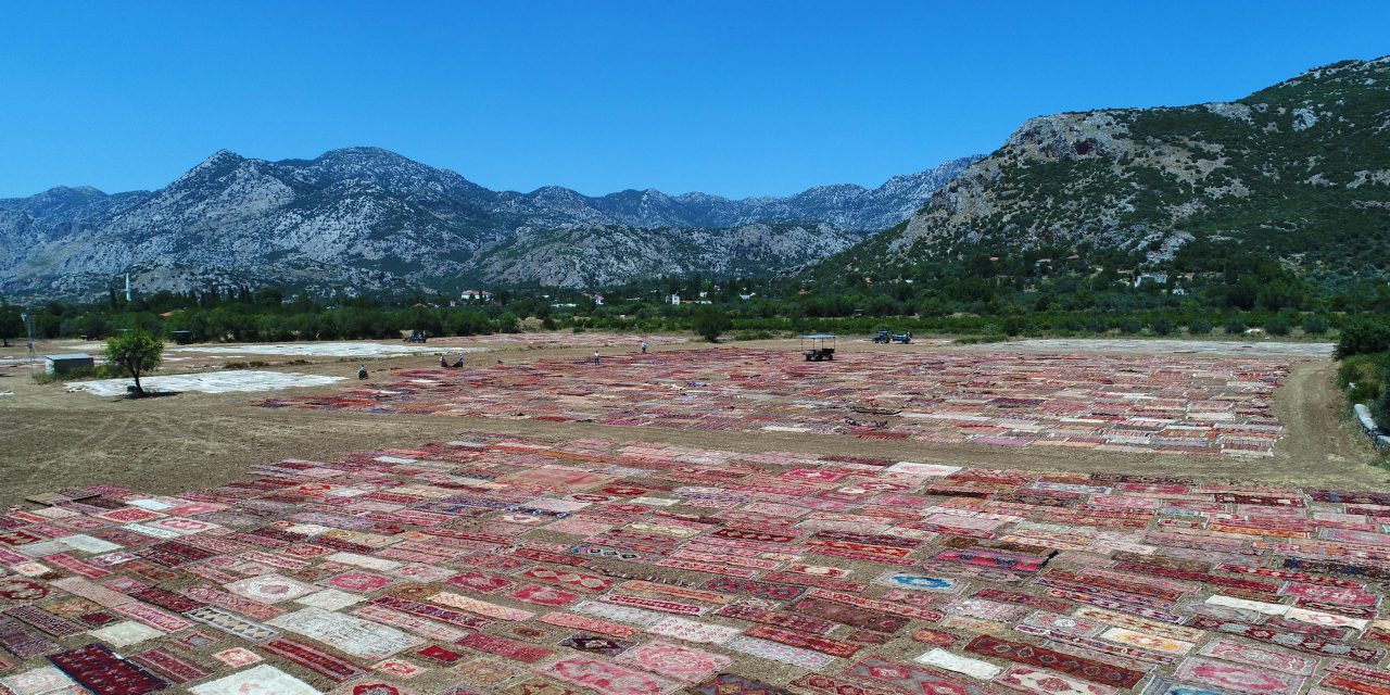 ANTALYA’DA TARLALAR HALI AÇTI