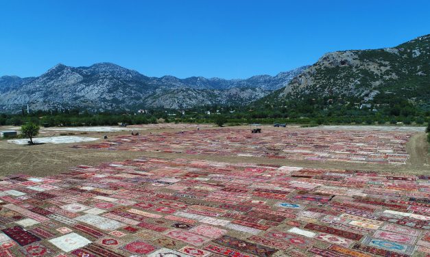 ANTALYA’DA TARLALAR HALI AÇTI