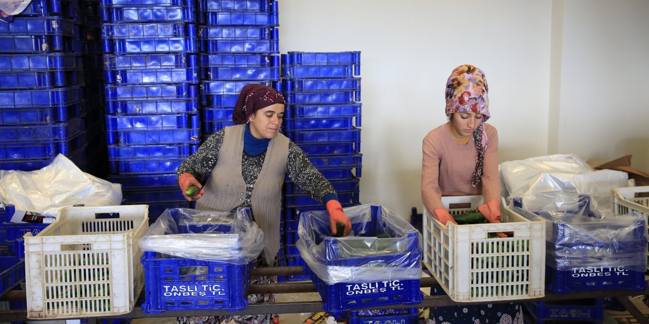 Antalya Toptancı Hali’nde Rekor İşlem