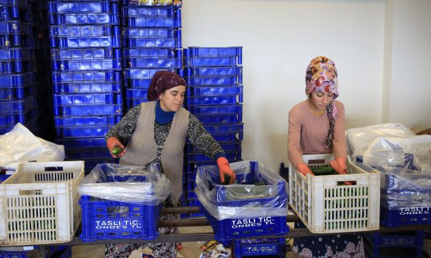 Antalya Toptancı Hali’nde Rekor İşlem