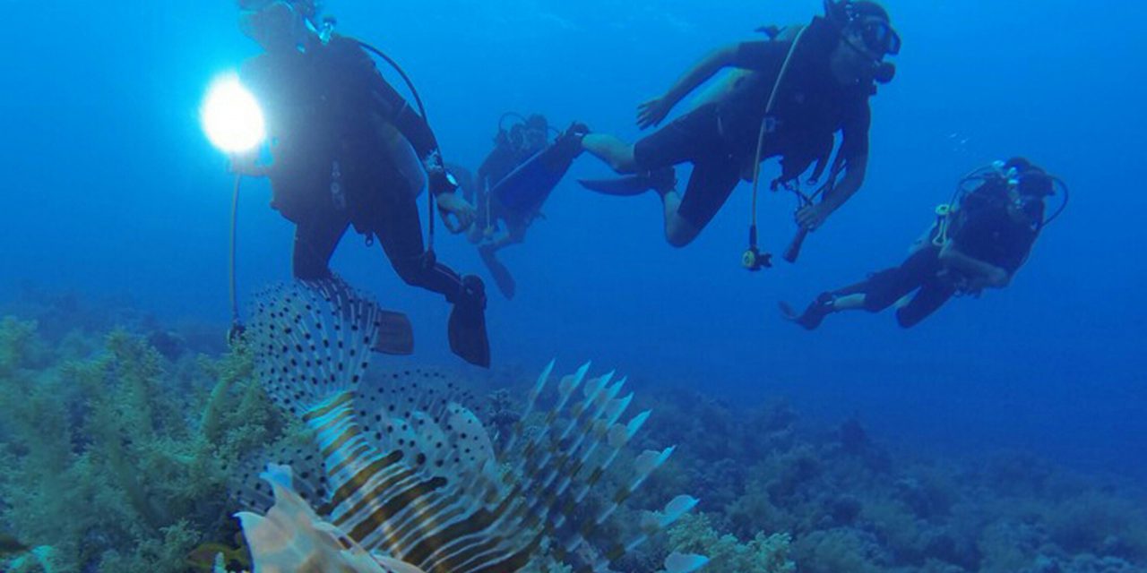 Antalya’nın Sualtı Zenginlikleri Dalış Tutkunlarını Bekliyor