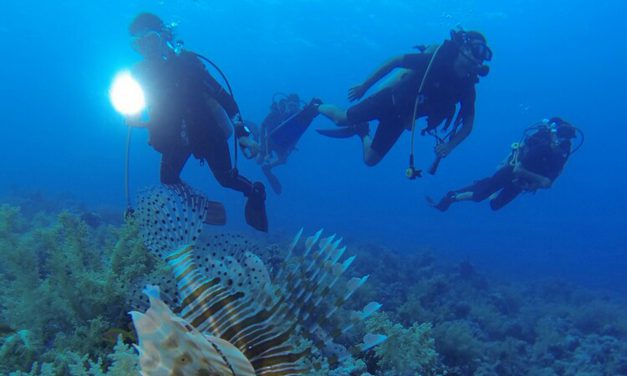 Antalya’nın Sualtı Zenginlikleri Dalış Tutkunlarını Bekliyor