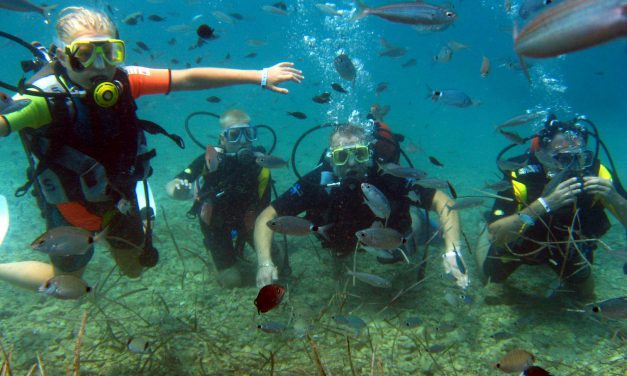 Antalya’nın Sualtı Zenginlikleri Dalış Tutkunlarını Bekliyor