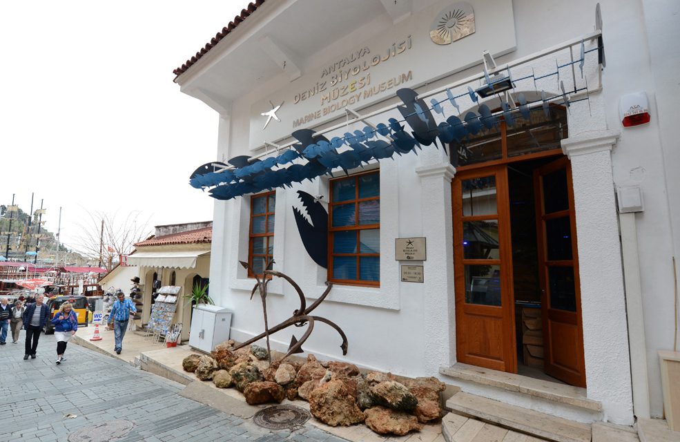 Antalya’nın deniz yaşamı bu müzede