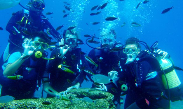 Turistler, Antalya’nın sualtı zenginliklerini keşfediyor