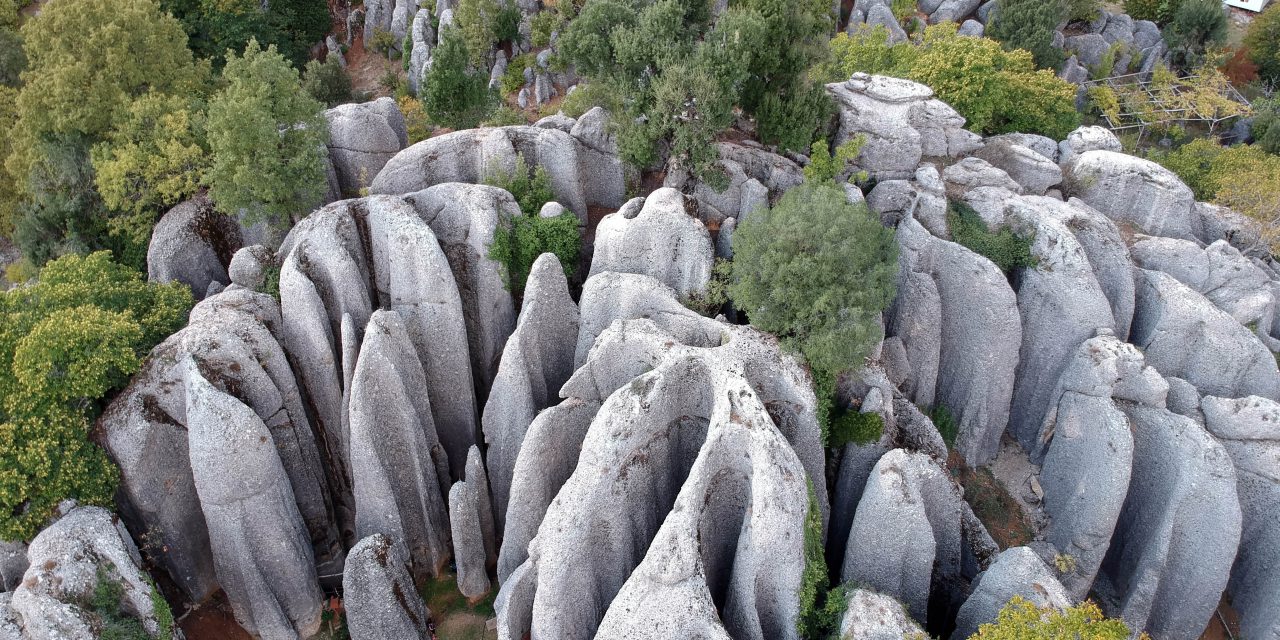 ‘Avatar’ sahnesi değil ‘Adam Kayalar’