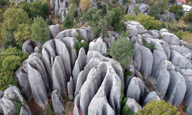 ‘Avatar’ sahnesi değil ‘Adam Kayalar’