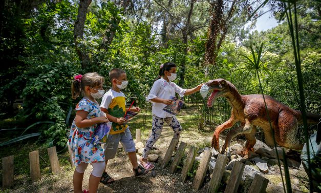 Alternatif turistik işletmeler de kapılarını “yeni normal” için açtı