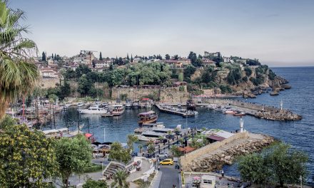 ANTALYA’NIN ÜRÜN SEPETİNİ ÇEŞİTLENDİRMEYE İHTİYACI VAR