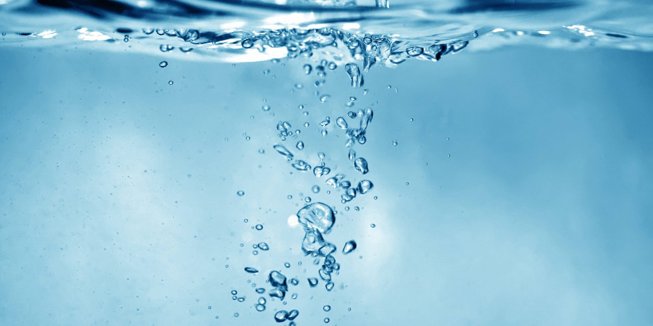 Dünya Su Günü-Suyun Değeri
