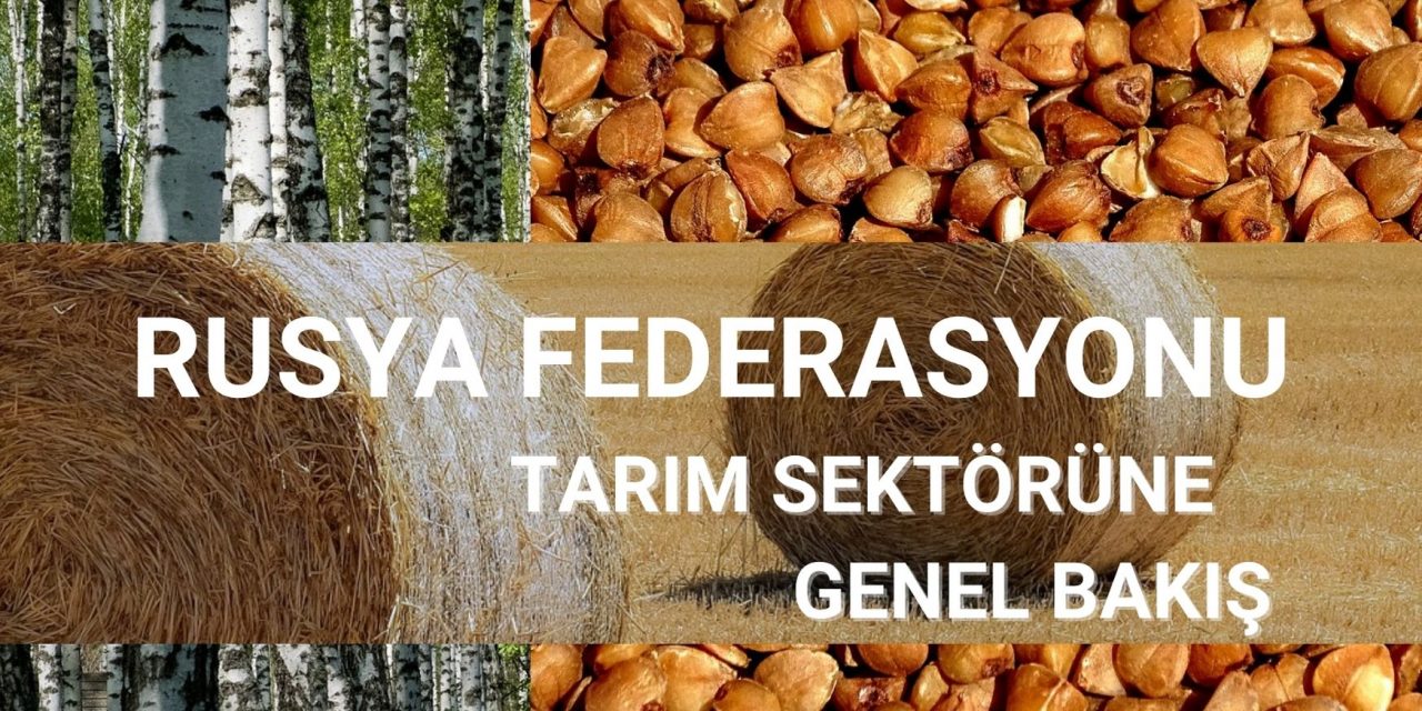 Rusya Tarım Sektörüne Genel Bakış