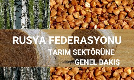 Rusya Tarım Sektörüne Genel Bakış