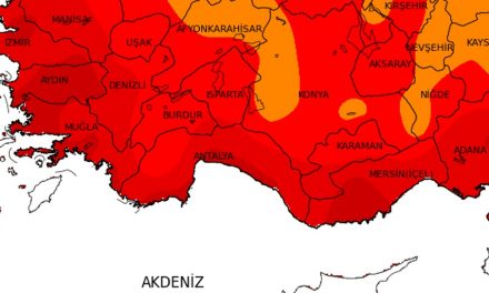 Son 50 Yılın En Sıcak İkinci Temmuzu Yaşandı