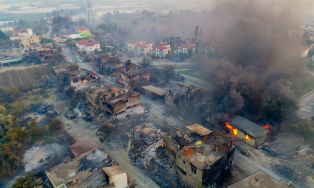 Yangının acı bilançosu: 60 bin hektar kül oldu, en az 1 milyar TL’lik maddi kayıp