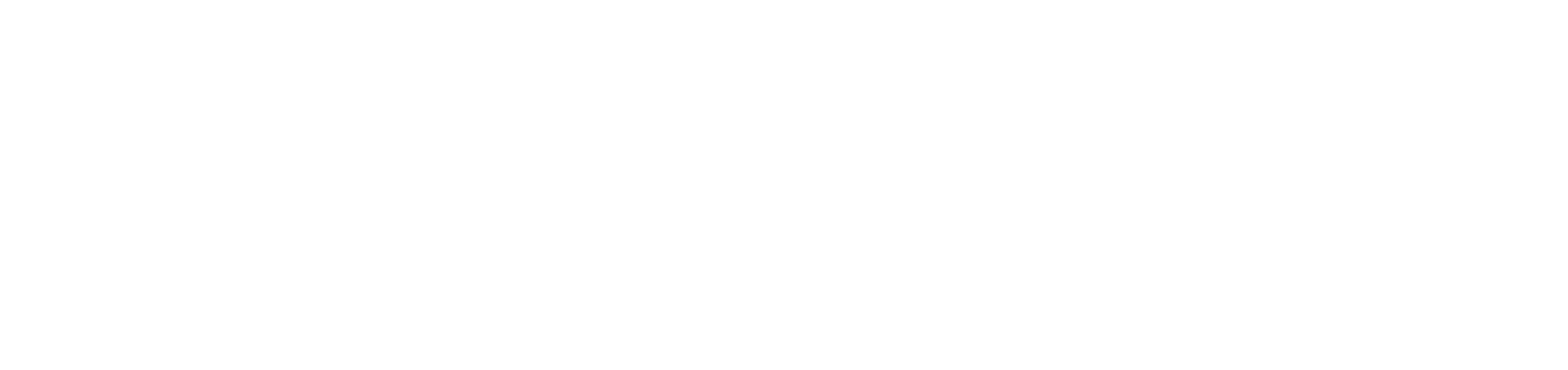 ATSO Vizyon